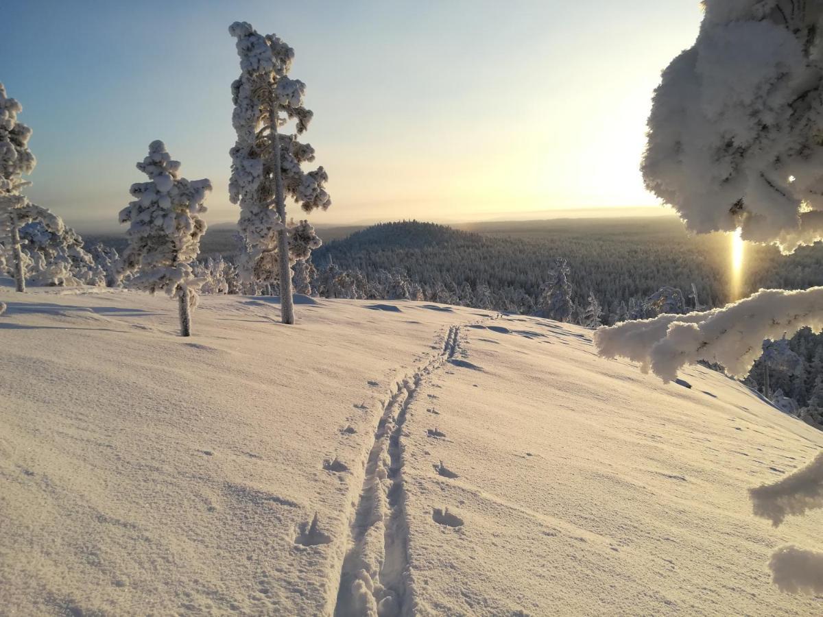Willa Raekkipirtti Luosto Zewnętrze zdjęcie
